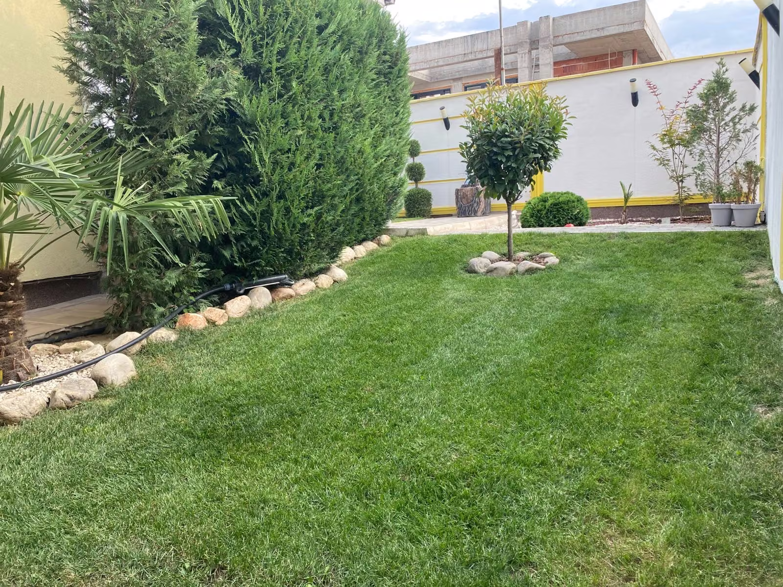 Césped y seto recortado en un jardín residencial